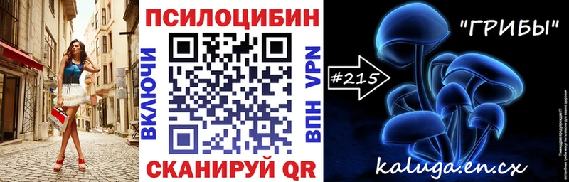 darknet состав  Серпухов  Псилоцибиновые грибы мухоморы  продажа наркотиков 